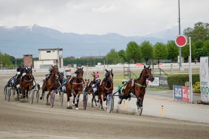 Mercoledi' a Vinovo 12 al via su 3 nastri nel Premio Scuderia Nord Ovest Mercoledi' a Vinovo 12 al via su 3 nastri nel Premio Scuderia Nord Ovest