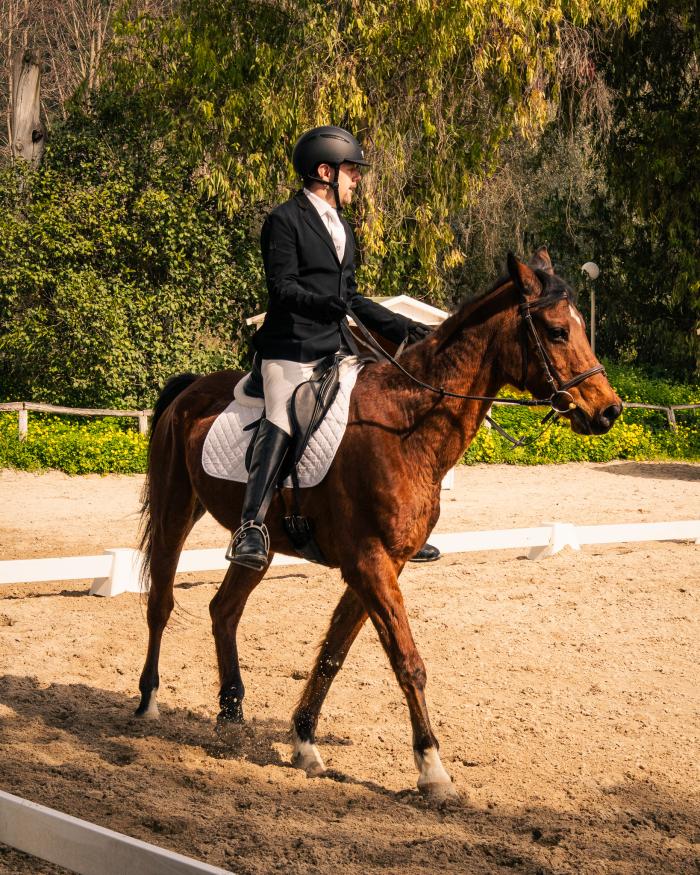 Equitazione Paralimpica: primo posto nazionale per Davide Riccardelli Equitazione Paralimpica: primo posto nazionale per Davide Riccardelli