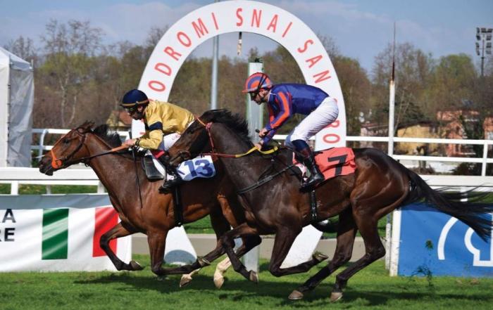 A San Siro il favorito Dandy Sands domina il Premio Apertura