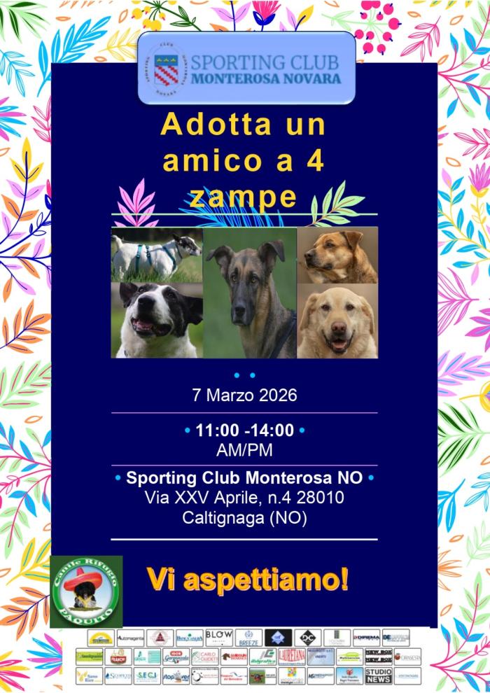 Novara, Sporting club Monterosa, dove il mondo dello sport si unisce al sociale Novara, Sporting club Monterosa, dove il mondo dello sport si unisce al sociale