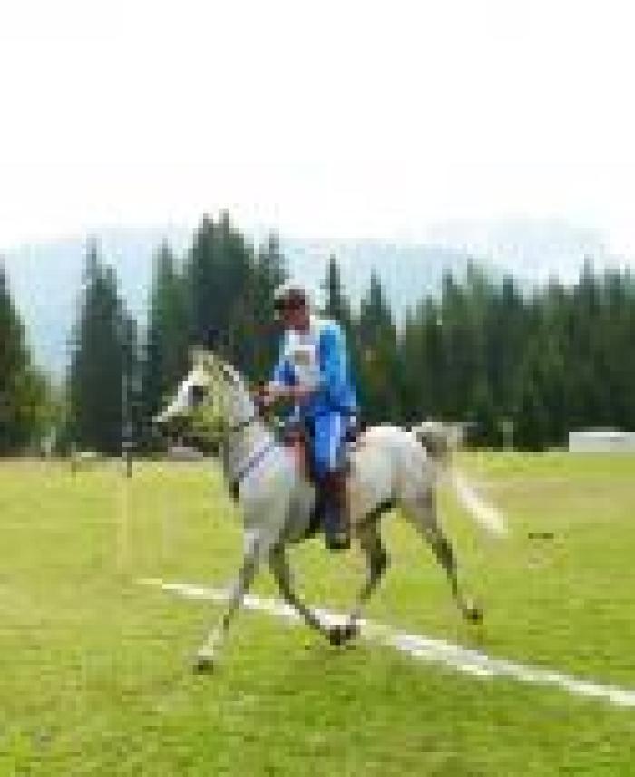 Cavallo2000 e Anica insieme per il purosangue arabo Cavallo2000 e Anica insieme per il purosangue arabo