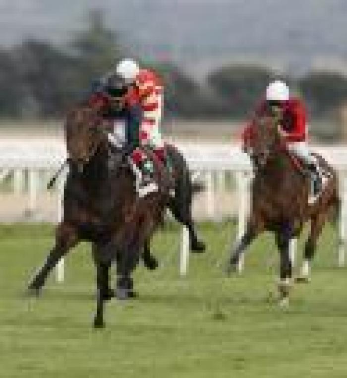 Capannelle, Miles Gloriosus è sempre il migliore