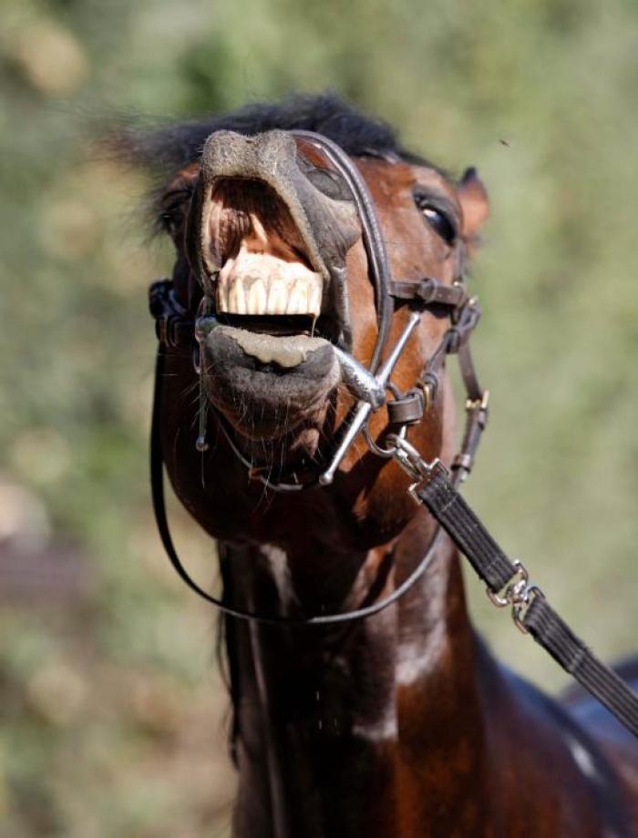 Varenne. foto Stefano Grasso