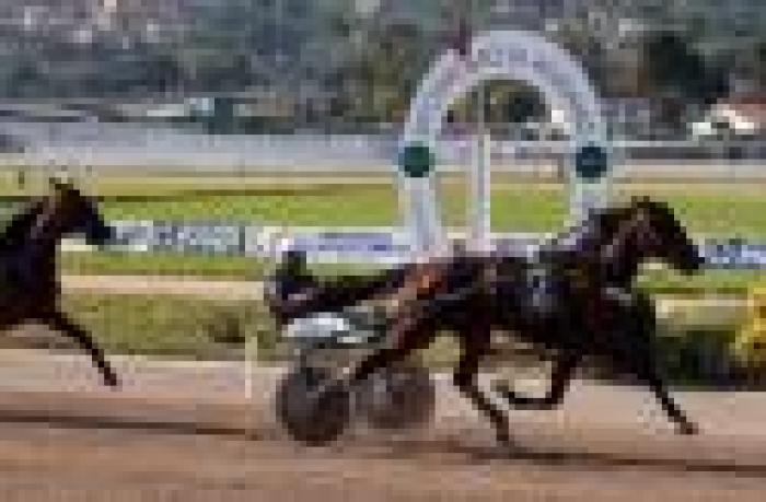 Meeting Lotteria, Smorgon padrone delle ''poules''