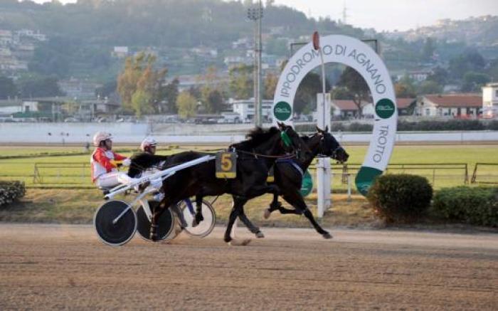 L\'arrivo del Gran Premio Maschio Angioino. foto Gennaro Giorgio