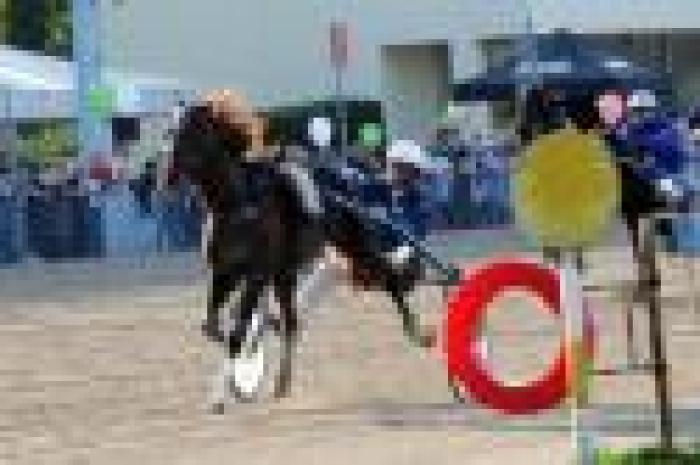 Trotto, Oropuro fa un numero nel G.P. d'Italia