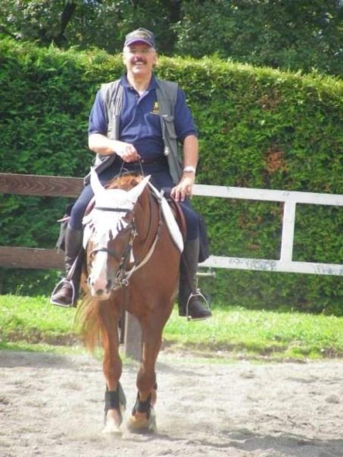 La commovente storia di Sark, piccolo grande cavallo di montagna