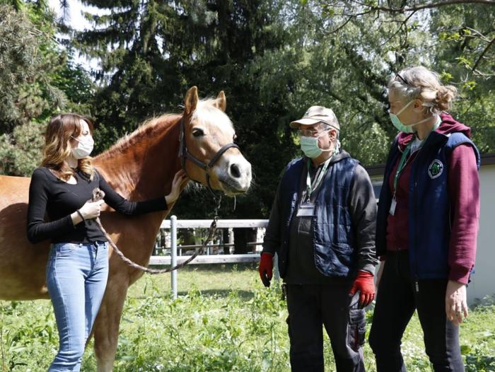 Niguarda, contro lo  stress da coronavirus sanitari 