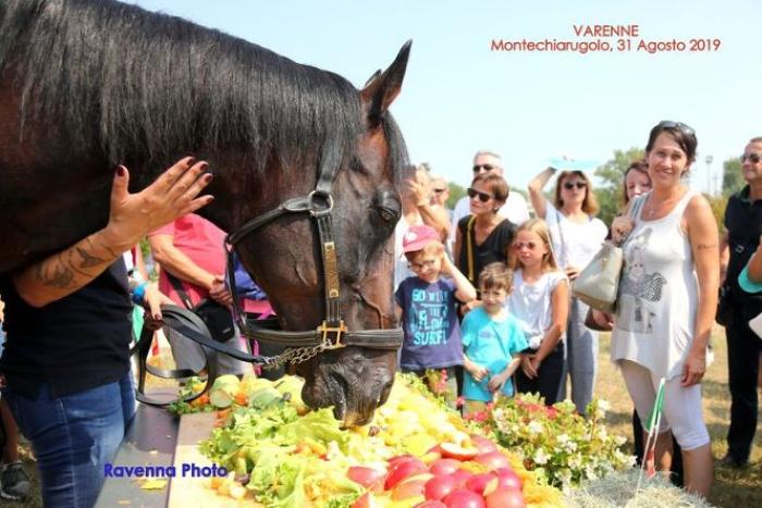 ANACT Betting contribuisca a tutela territorio e cavalli ANACT Betting contribuisca a tutela territorio e cavalli