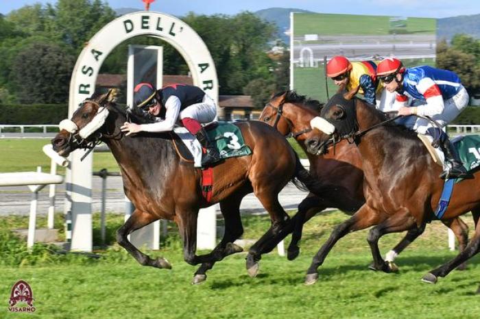 La bellissima giornata della Corsa dell'Arno, uno spot per l'ippica La bellissima giornata della Corsa dell'Arno, uno spot per l'ippica