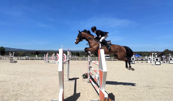 Fise Sardegna sospende le manifestazioni equestri dei circuiti Asvi Fise Sardegna sospende le manifestazioni equestri dei circuiti Asvi