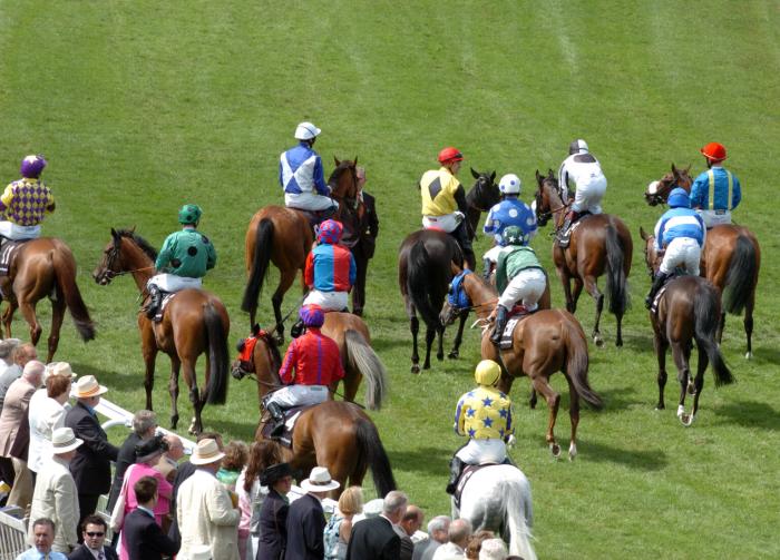 Speranze per un risveglio dell'ippica Speranze per un risveglio dell'ippica