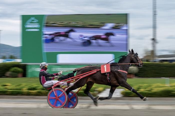 Un bel mercoledì a Torino, femmine di classe nel clou