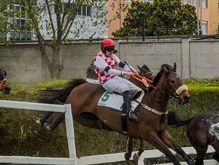 Merano, en plein Magog nel Val Di Non grazie a Jump De Bruyeres che batte il compagno Coral Noir