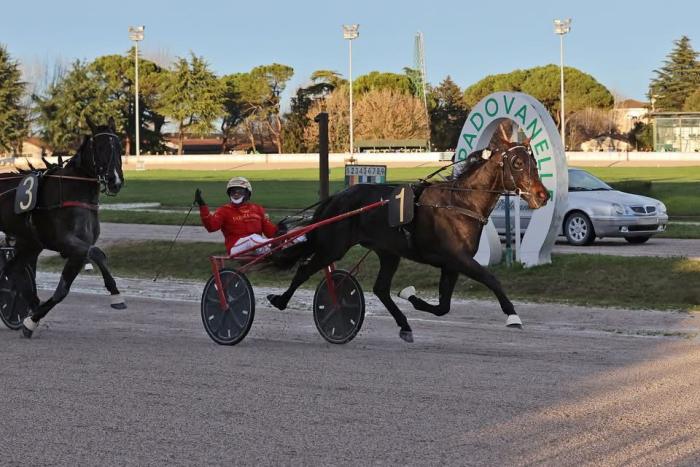 Padova presenta il celebre gran premio Elwood Medium