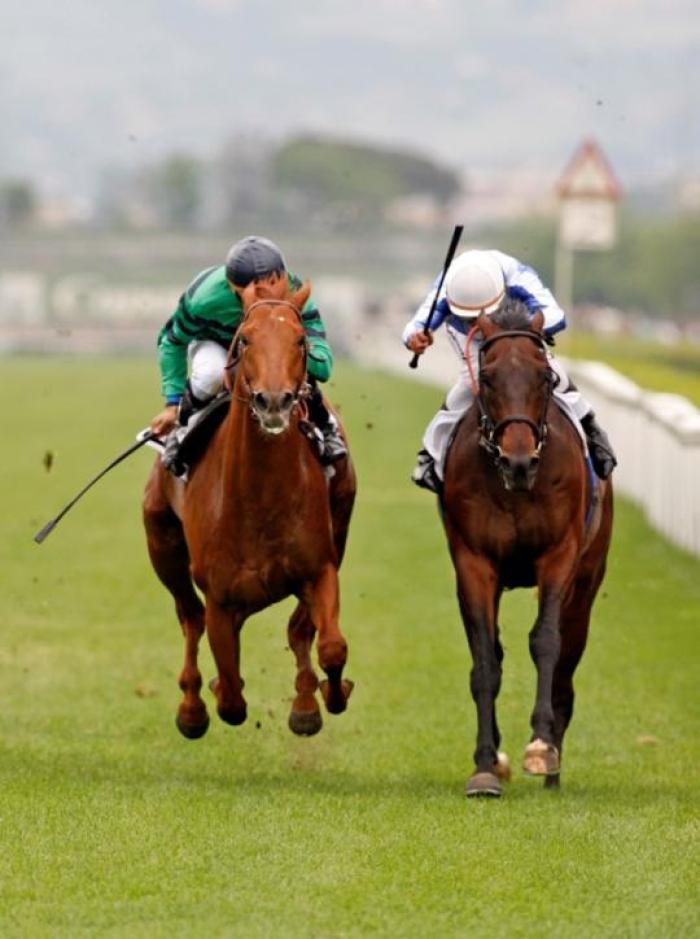 L\'arrivo del Premio Tudini nella foto di Stefano Grasso per Cavallo2000