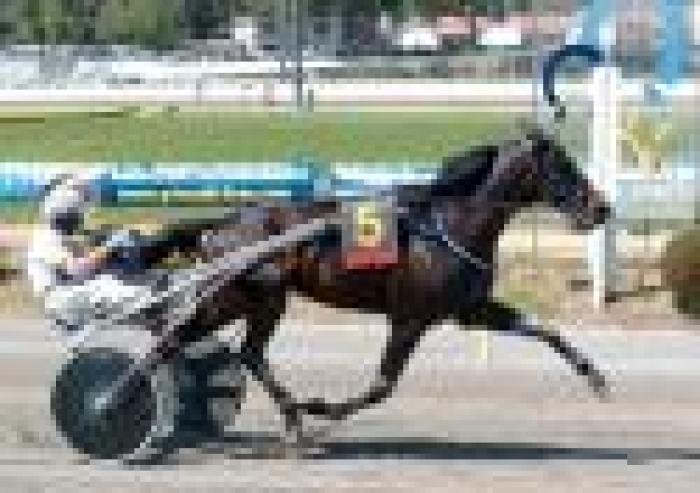 G.P. Lotteria, Ghibellino il migliore in batteria G.P. Lotteria, Ghibellino il migliore in batteria