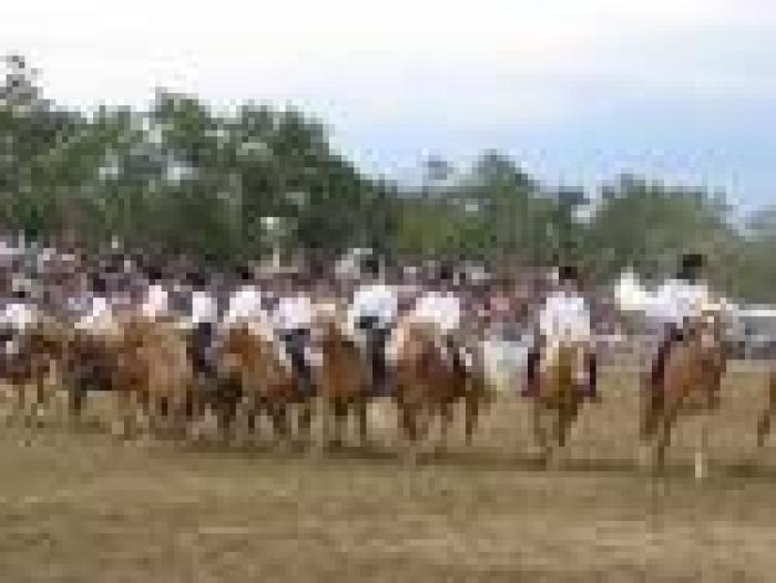 Nitriti di Primavera, più di 30.000 spettatori