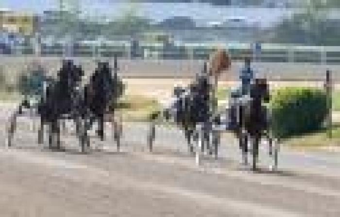 Trotto, ecco le 14 prove del Grand Circuit UET