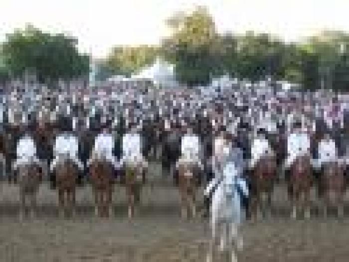 A Tuscania l'unica fiera per il cavallo italiano