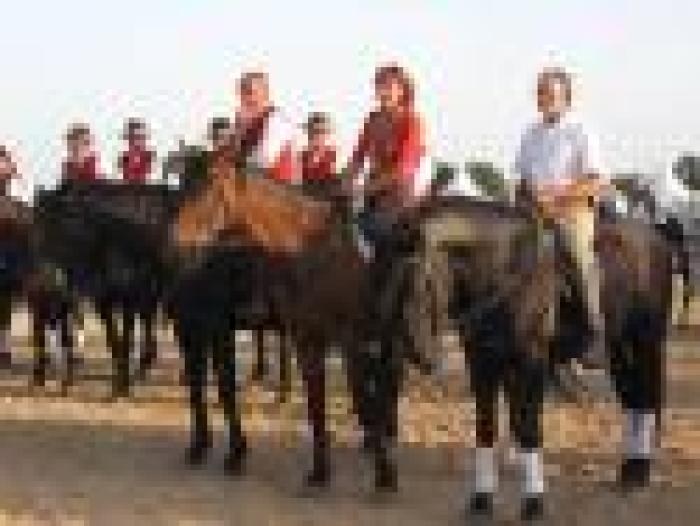 Migliora la ragazza travolta da un cavallo a Tuscania Migliora la ragazza travolta da un cavallo a Tuscania