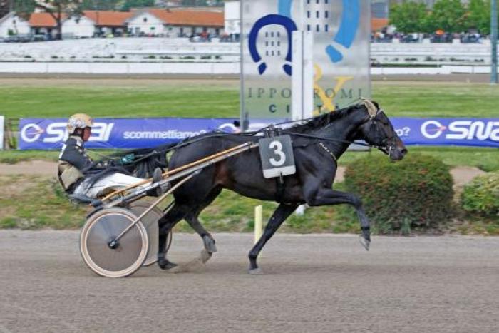 In Home page OISEAU DE FEUX. Qui sopra OPAL VIKING e sotto cliccando ALGIERS HALL. foto Stefano Grasso