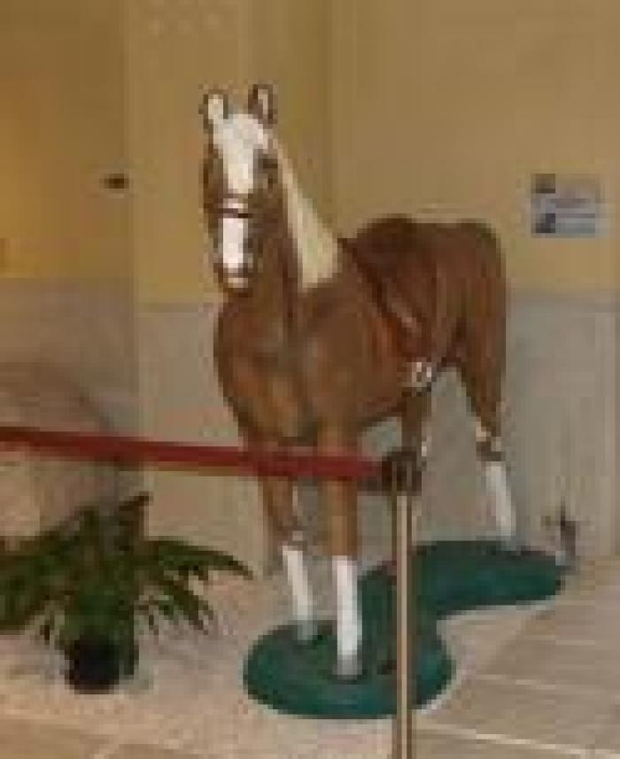 Un cavallo per amico? Sì, ma in vetroresina