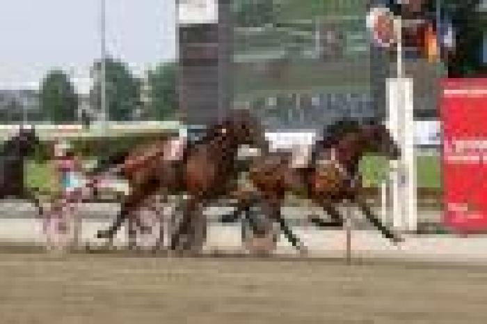 Trotto a Torino, colpo da maestro<br> di Enrico Bellei con Napoleon Bar