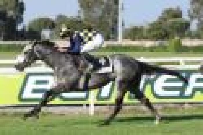 Capannelle, il Derby incorona Crackerjack King