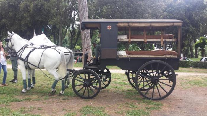 Piazza di Siena, i cavalli Lipizzani ambasciatori della storia