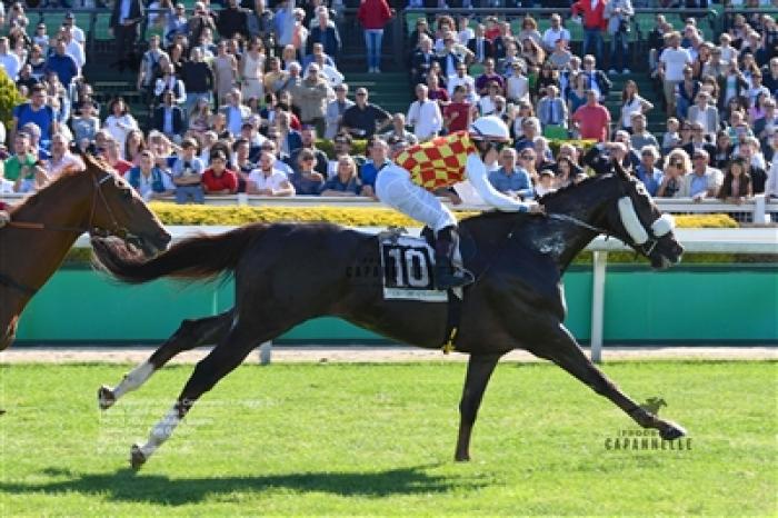 Capannelle, si parte con la speranza di un Derby a porte aperte! Capannelle, si parte con la speranza di un Derby a porte aperte!