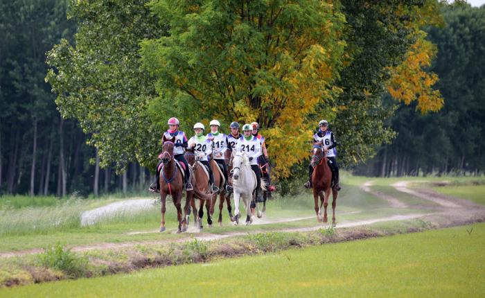 Verona, partito il conto alla rovescia per i FEI Endurance World Championship