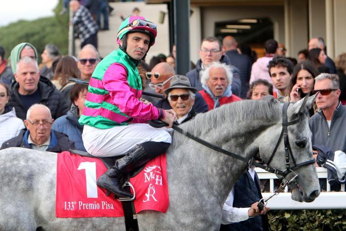 Milers in listed, bel sabato a San Siro con il Bereguardo Milers in listed, bel sabato a San Siro con il Bereguardo