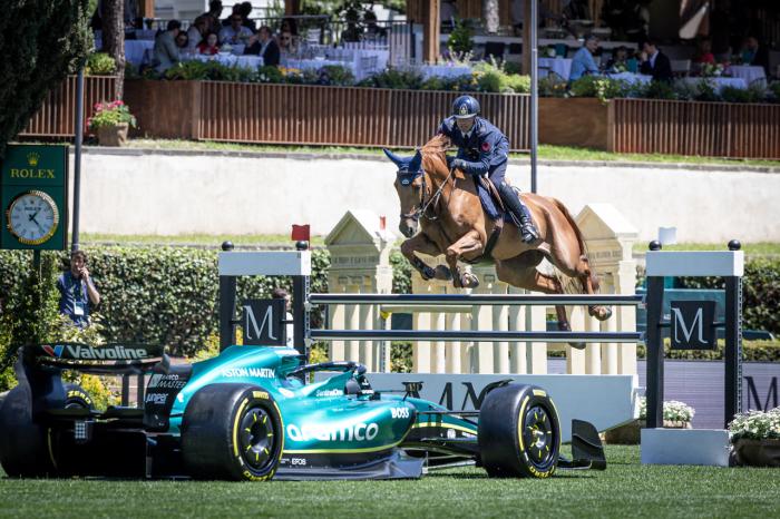 Salto ostacoli - Cavallo MASAF, ortolano di Italia