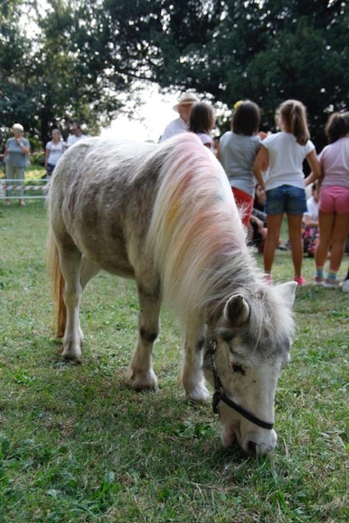 Parco di Montecchio, al via la seconda edizione de Parco di Montecchio, al via la seconda edizione de