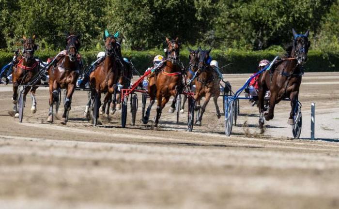 Grande attesa per il Gran Premio Tito Giovanardi, domenica a Modena