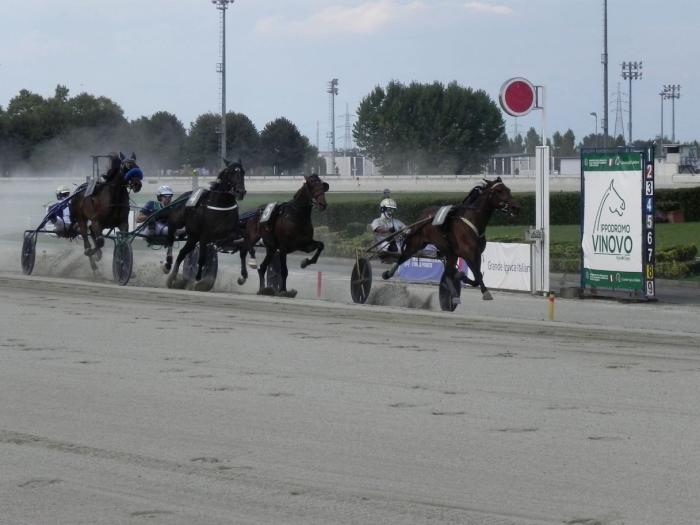 Ippodromo di Vinovo, 4 maggio, 8 corse per aprire un mese intenso