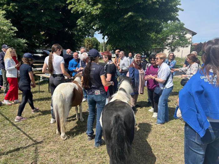 Novara, grande successo per la   “  Coppa delle Alpi  ”