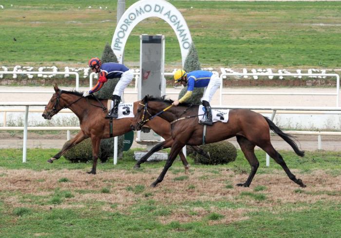 Agnano Galoppo dal 18 maggio al 25 luglio  per tredici giornate spettacolo in pista dritta.