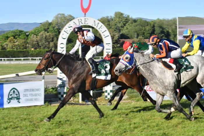 Domenica al Visarno il Premio Enzo E Tullio Mei