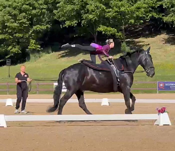 Nasce “Horse for Inclusion”: ai Pratoni del Vivaro lo sport equestre abbatte ogni barriera Nasce “Horse for Inclusion”: ai Pratoni del Vivaro lo sport equestre abbatte ogni barriera