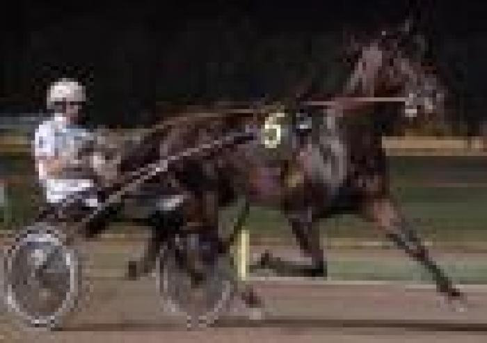 Trotto, Bazire vince due G.P. in sette ore
