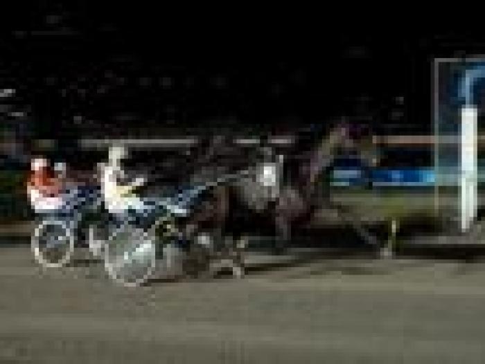 Trotto, notte magica per Bengt Holm