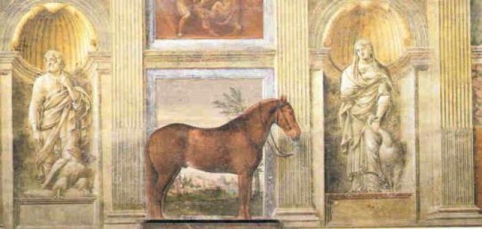 I cavalli preferiti dal duca di Mantova dipinti da Giulio Romano