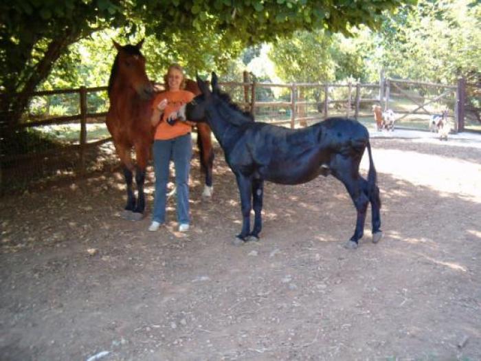 Asso, Carla De Benedictis e un comune amico dalle lunghe orecchie Asso, Carla De Benedictis e un comune amico dalle lunghe orecchie