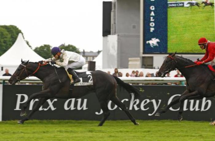 Le Havre in azione foto Stefano Grasso per cavallo2000 Le Havre in azione foto Stefano Grasso per cavallo2000