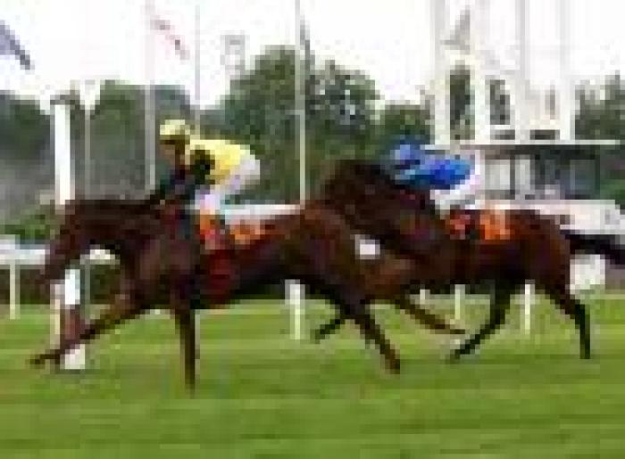 Galoppo, bis del tedesco Quijano nel G.P. Milano