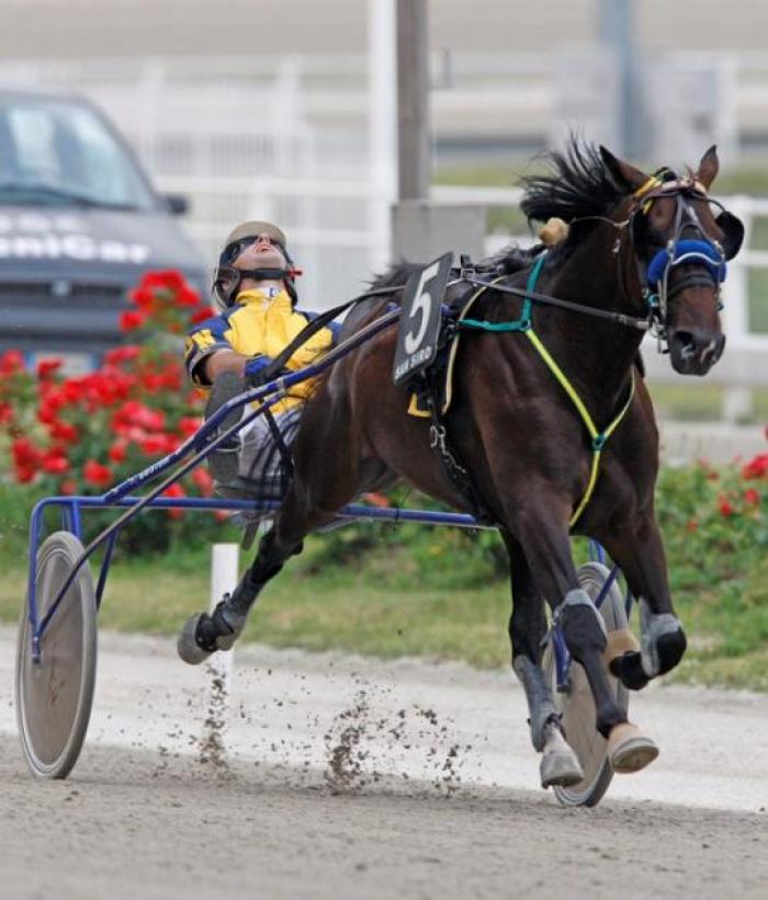 La vittoria di Quijano. Foto Stefano Grasso per cavallo2000