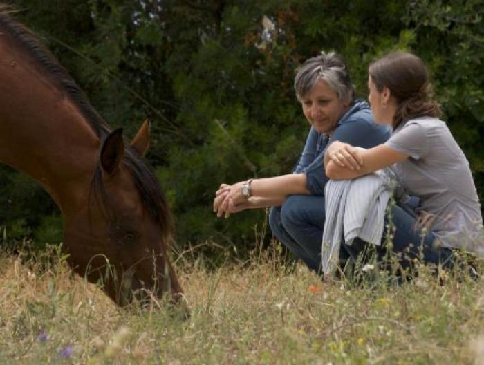 in home page e qui sopra la professoressa Pia lucidi, una sua allieva insieme ad uno dei cavalli di Francesco De Giorgio, sotto cliccando un gruppo di studenti incontra uno dei cavalli