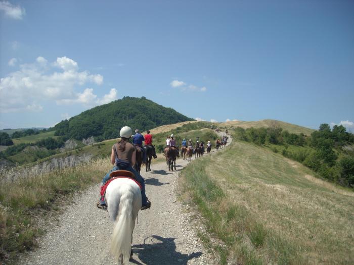 Al via il corso per accompagnatori e guide turismo equestre Al via il corso per accompagnatori e guide turismo equestre